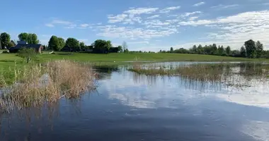 Działka w Soły, Litwa