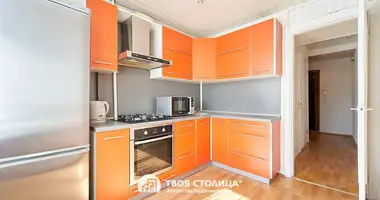 2 bedroom apartment in Minsk, Belarus
