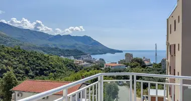 Propiedad comercial 354 m² en Boreti, Montenegro