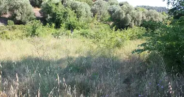 Terrain dans Municipality of Sithonia, Grèce