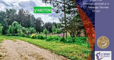 Grundstück in Radaskovicki sielski Saviet, Belarus