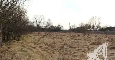 Plot of land in Carnaucycki sielski Saviet, Belarus