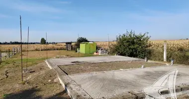 Участок земли в Знаменский сельский Совет, Беларусь