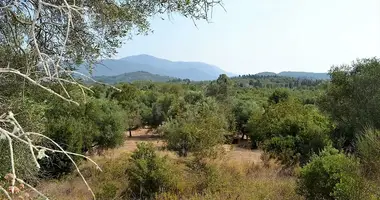 Działka w Municipality of Central Corfu and Diapontia Islands, Grecja