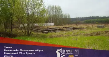 Działka w Krasnienski sielski Saviet, Białoruś