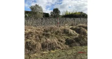 Działka w Peze Helmes, Albania