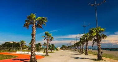 Участок земли в Анаклиа, Грузия