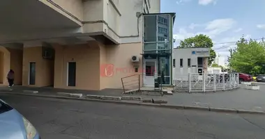 Propiedad comercial 105 m² en Minsk, Belarús