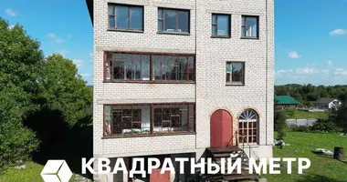 House in Naracki sielski Saviet, Belarus