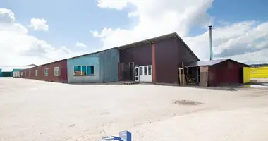 Pomieszczenie biurowe 1 351 m² w Kirszy, Białoruś