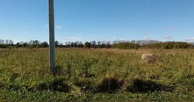 Plot of land in Rabitickoe selskoe poselenie, Russia