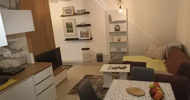 1 bedroom apartment in Montenegro