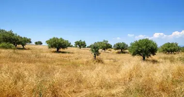 Plot of land in Kassandrino, Greece