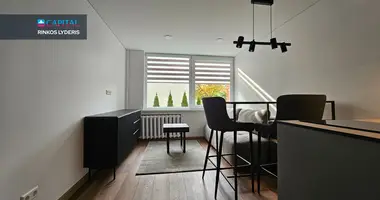 Appartement 1 chambre dans Kaunas, Lituanie