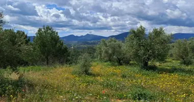 Haus 2 Schlafzimmer in Millena, Spanien