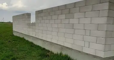 Дом в Присно, Беларусь