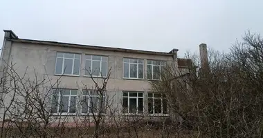 Propiedad comercial 503 m² en Kalacy, Belarús