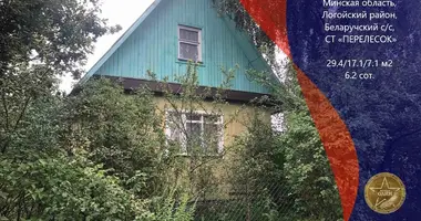 Casa en Bialarucki sielski Saviet, Belarús