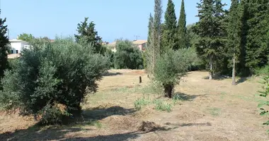 Parcela en Kynopiastes, Grecia