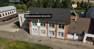 Propriété commerciale 39 m² dans Sintautai, Lituanie