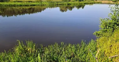 Дом в Жодишковский сельский Совет, Беларусь