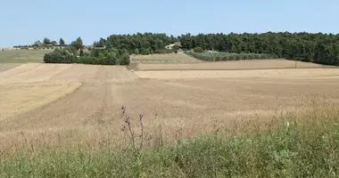 Plot of land in Kassandra Municipality, Greece