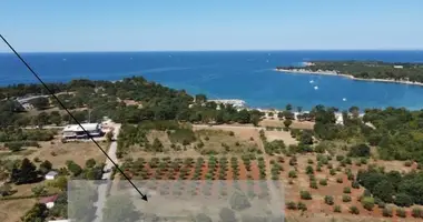 Villa 3 bedrooms in Grad Porec, Croatia