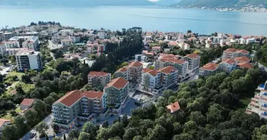 1 bedroom apartment in Tivat, Montenegro
