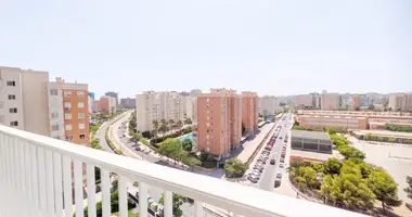 1 bedroom apartment in Alicante, Spain