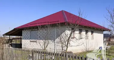 Haus in Zabinkauski sielski Saviet, Belarus