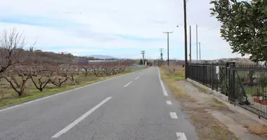 Plot of land in Nea Chrani, Greece
