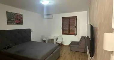 Apartamento 1 habitacion en Budva, Montenegro