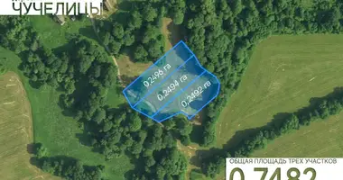 Grundstück in Naracki sielski Saviet, Belarus