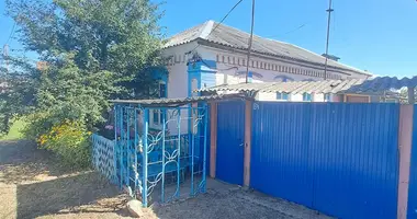 Дом в Добруш, Беларусь