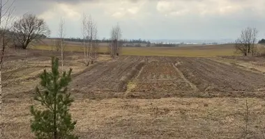 Plot of land in Drackauski sielski Saviet, Belarus