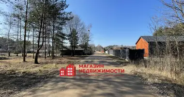 Участок земли в Коптёвский сельский Совет, Беларусь