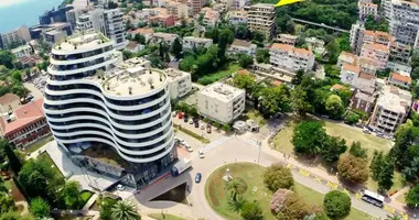 Apartamento 1 habitacion en Budva, Montenegro