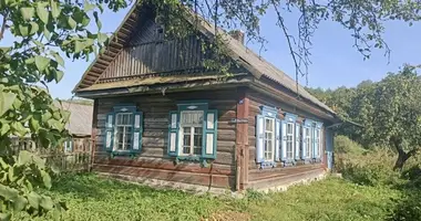 House in Kamienicy, Belarus