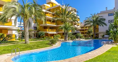 Квартира 2 комнаты в Торревьеха, Испания