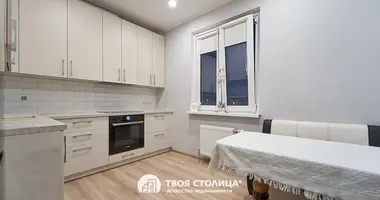 2 bedroom apartment in Minsk, Belarus