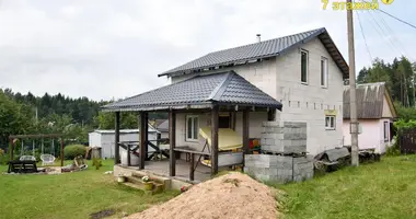 Dom w Zodzinski sielski Saviet, Białoruś