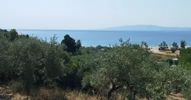 Terrain dans Municipality of Sithonia, Grèce
