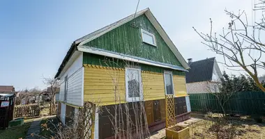 Дом в Демидовичский сельский Совет, Беларусь
