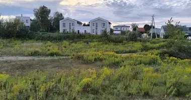 Plot of land in Didzioji Riese, Lithuania