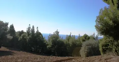 Plot of land in Kassandra Municipality, Greece
