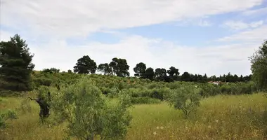 Участок земли в Municipality of Sithonia, Греция