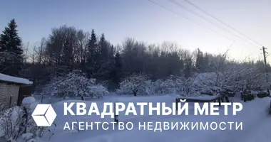 Apartamento en Hajnienski sielski Saviet, Belarús