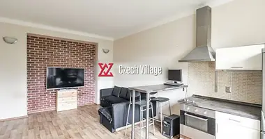 Appartement 1 chambre dans Capitale de Prague, République tchèque