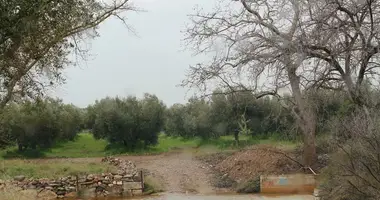 Plot of land in Gerakini, Greece