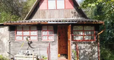 House in Piatryskauski sielski Saviet, Belarus